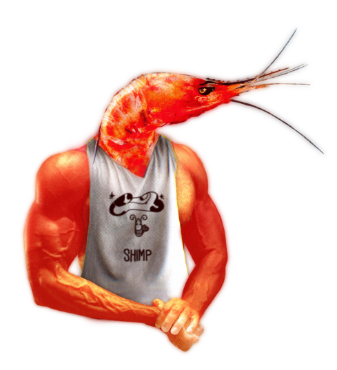 Shrimp flexing muscled arms